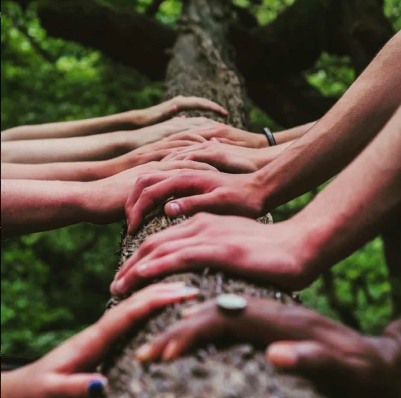 Nervous System Regulation for Psychedelic Journeys